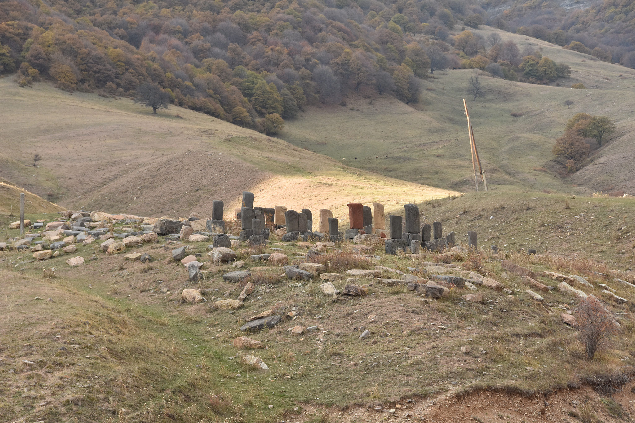 Ardvi (Ардви)